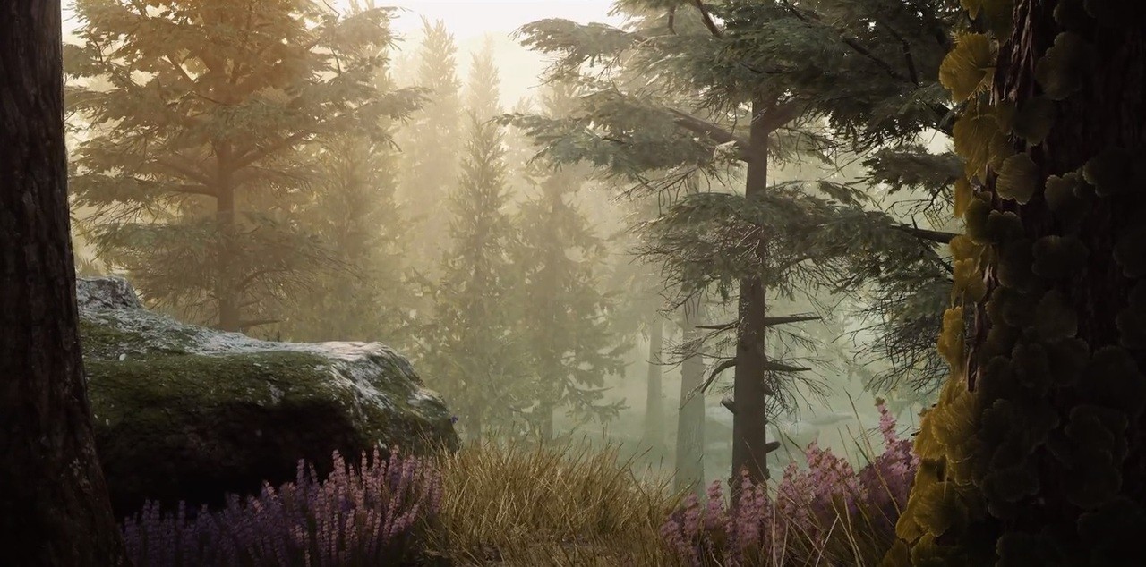В «королевской битве» Mavericks: Proving Grounds сойдутся 400 человек - изображение обложка