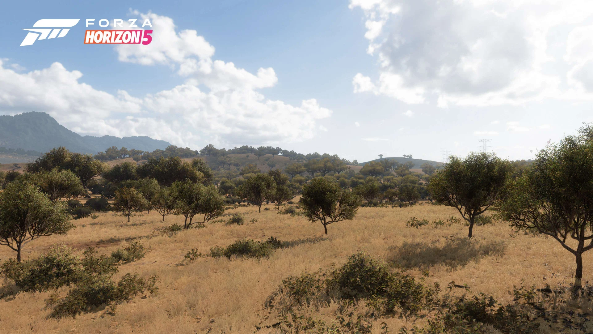 Авторы Forza Horizon 5 рассказали об 11 регионах — со скриншотами - фото 4