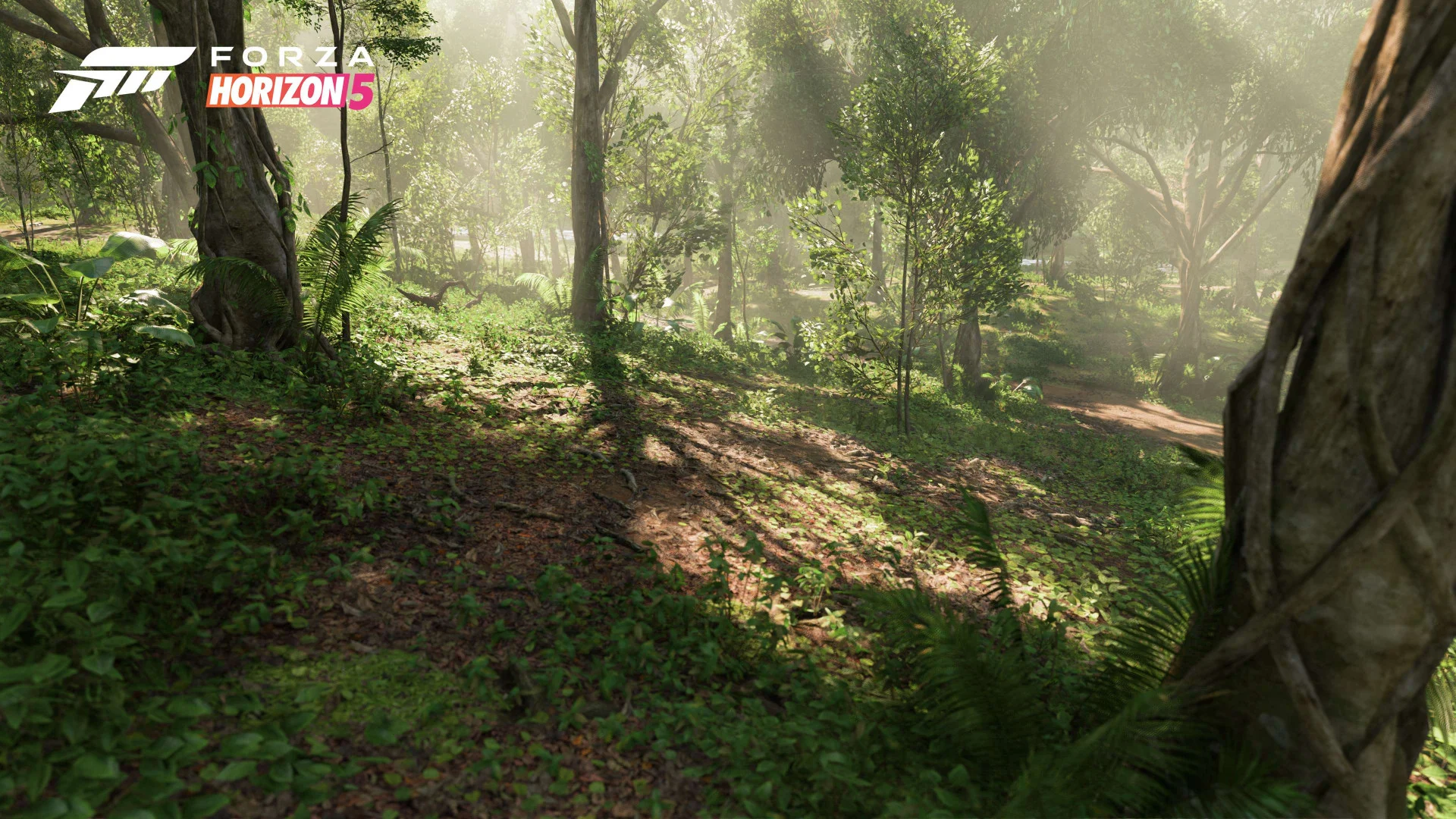 Авторы Forza Horizon 5 рассказали об 11 регионах — со скриншотами - фото 5