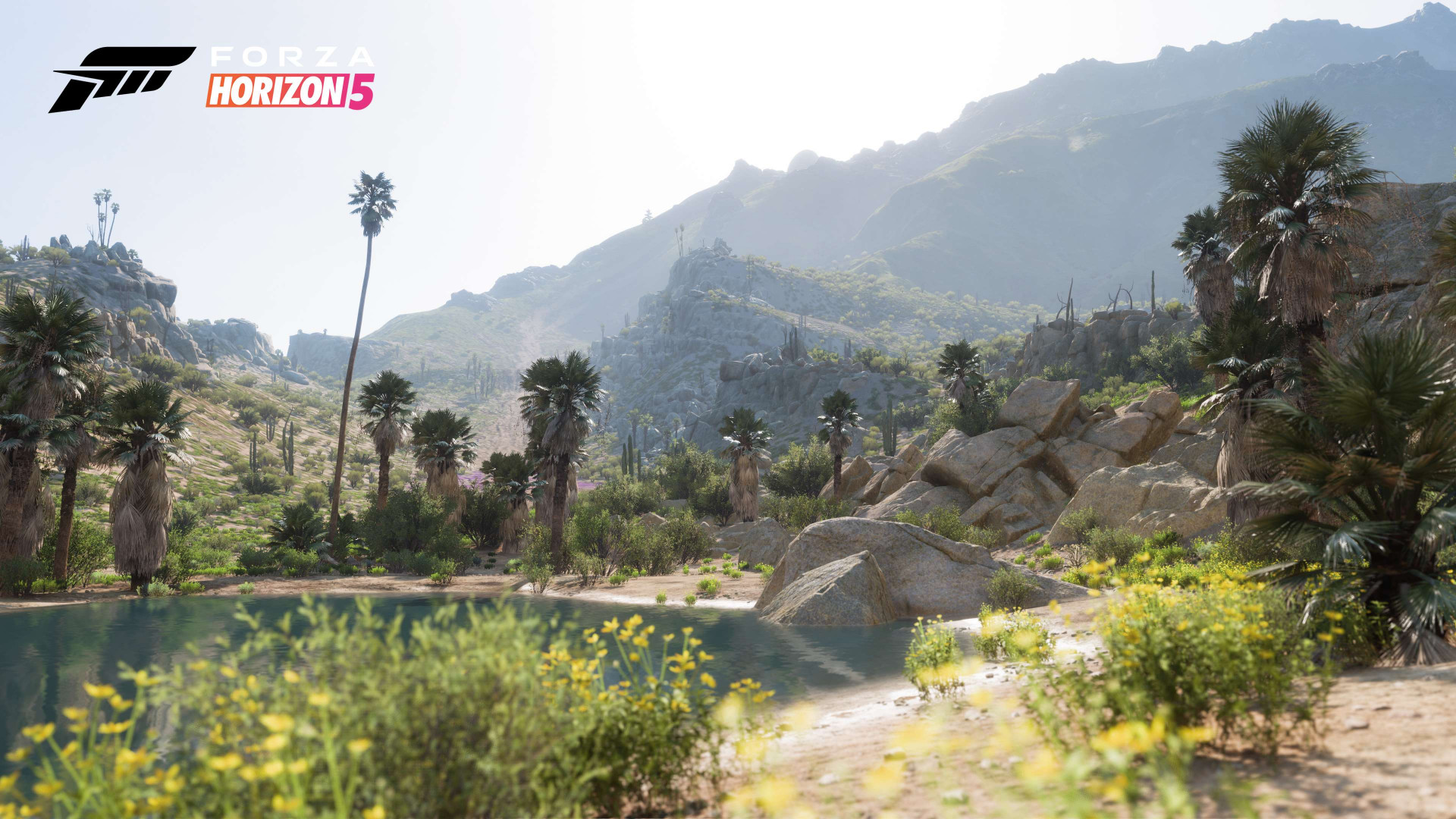Авторы Forza Horizon 5 рассказали об 11 регионах — со скриншотами - изображение 6 Авторы Forza Horizon 5 рассказали об 11 регионах — со скриншотами - фото 6