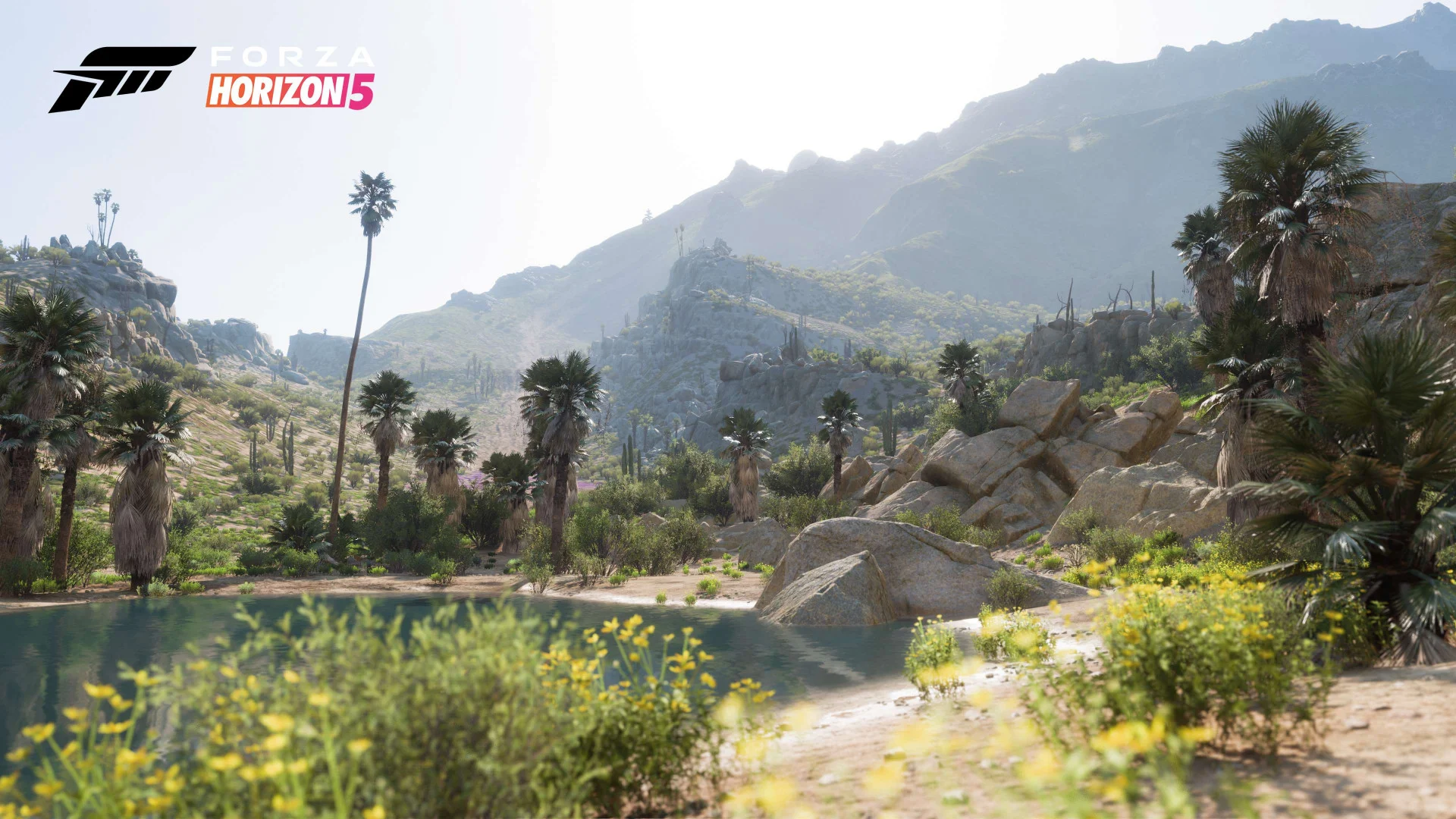 Авторы Forza Horizon 5 рассказали об 11 регионах — со скриншотами - фото 6