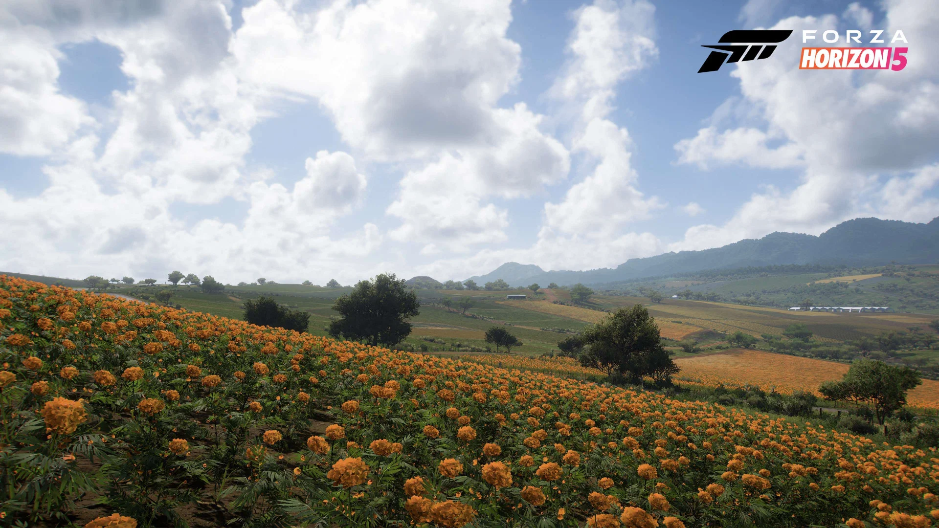 Авторы Forza Horizon 5 рассказали об 11 регионах — со скриншотами - фото 3
