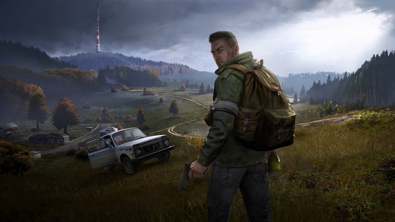 Разработчики DayZ и ArmA 3 заработали в 2019 году 68 млн долларов - изображение обложка