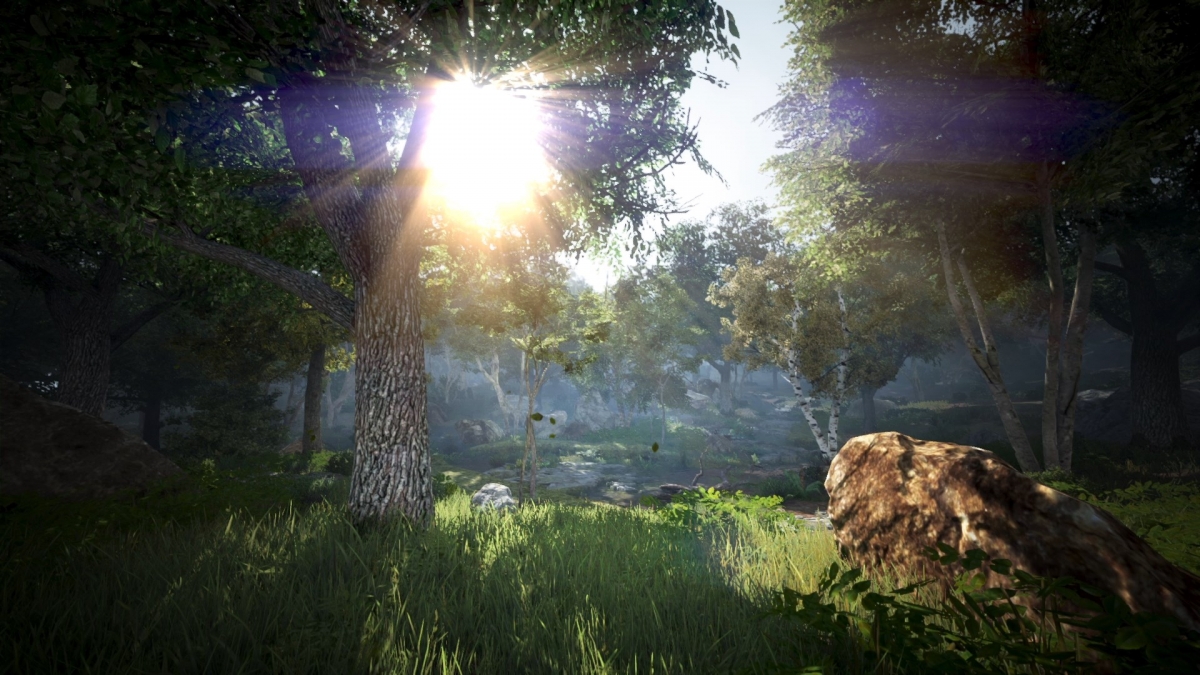 Silicon Studio показала улучшенную графику Black Desert - изображение 2 Silicon Studio показала улучшенную графику Black Desert - фото 2