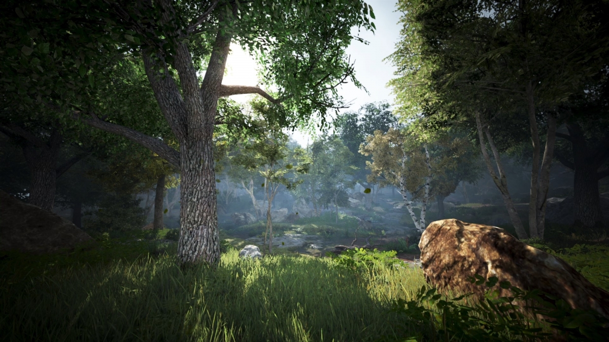 Silicon Studio показала улучшенную графику Black Desert - изображение 1 Silicon Studio показала улучшенную графику Black Desert - фото 1