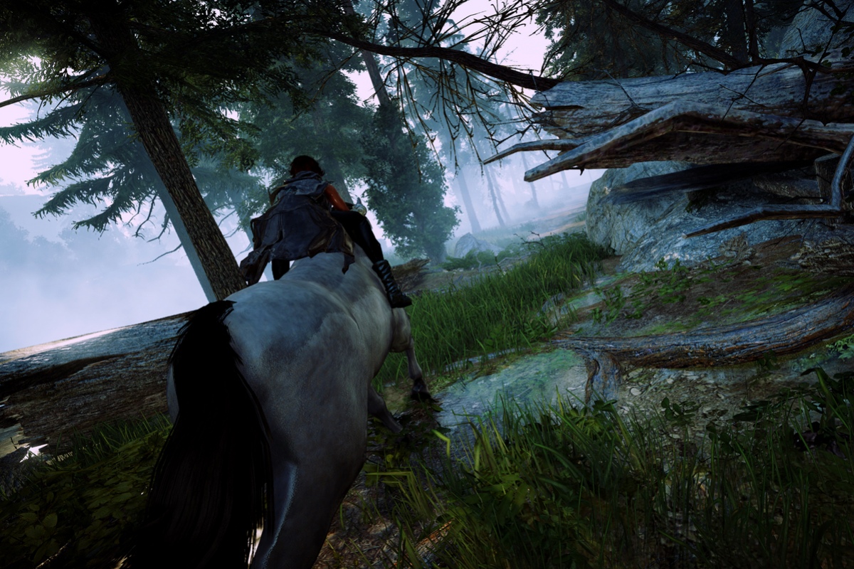 Наборы раннего доступа в Black Desert поступили в продажу - изображение 5 Наборы раннего доступа в Black Desert поступили в продажу - фото 5