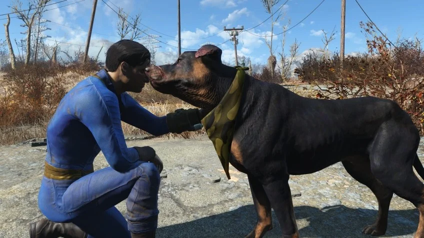 Fallout 4 дергается изображение