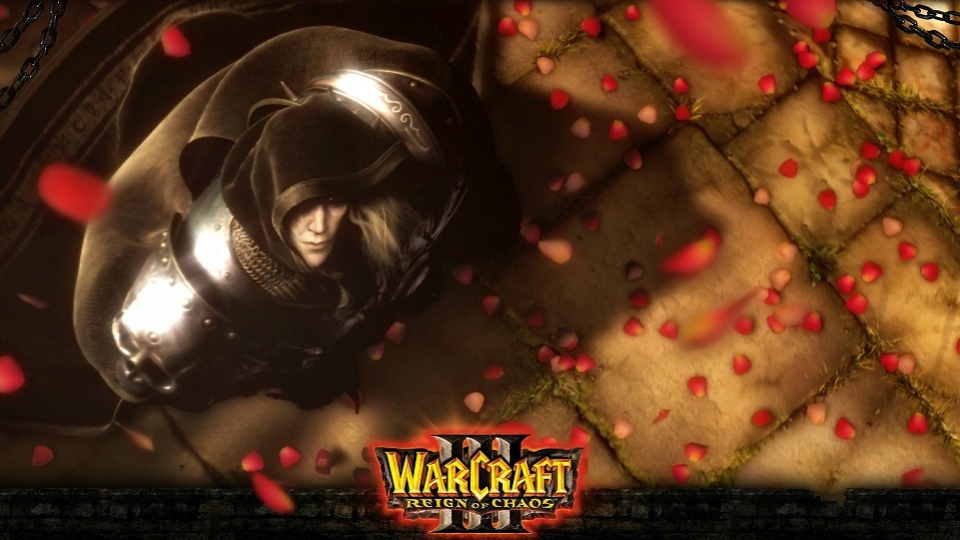 Сегодня Blizzard Entertainment исполнилось 25 лет - фото 4