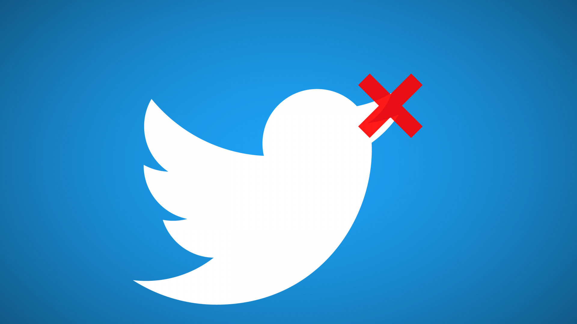 Роскомнадзор продлили замедление Twitter на территории РФ до 15 мая - изображение обложка