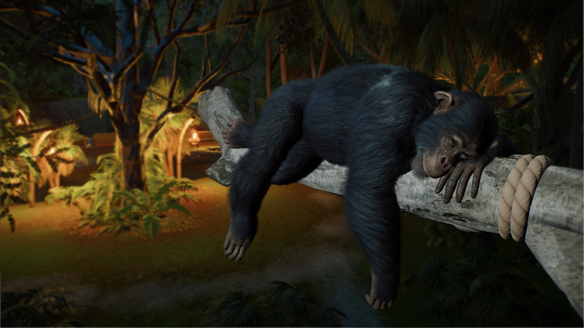 Planet Zoo 2 - кадр 8