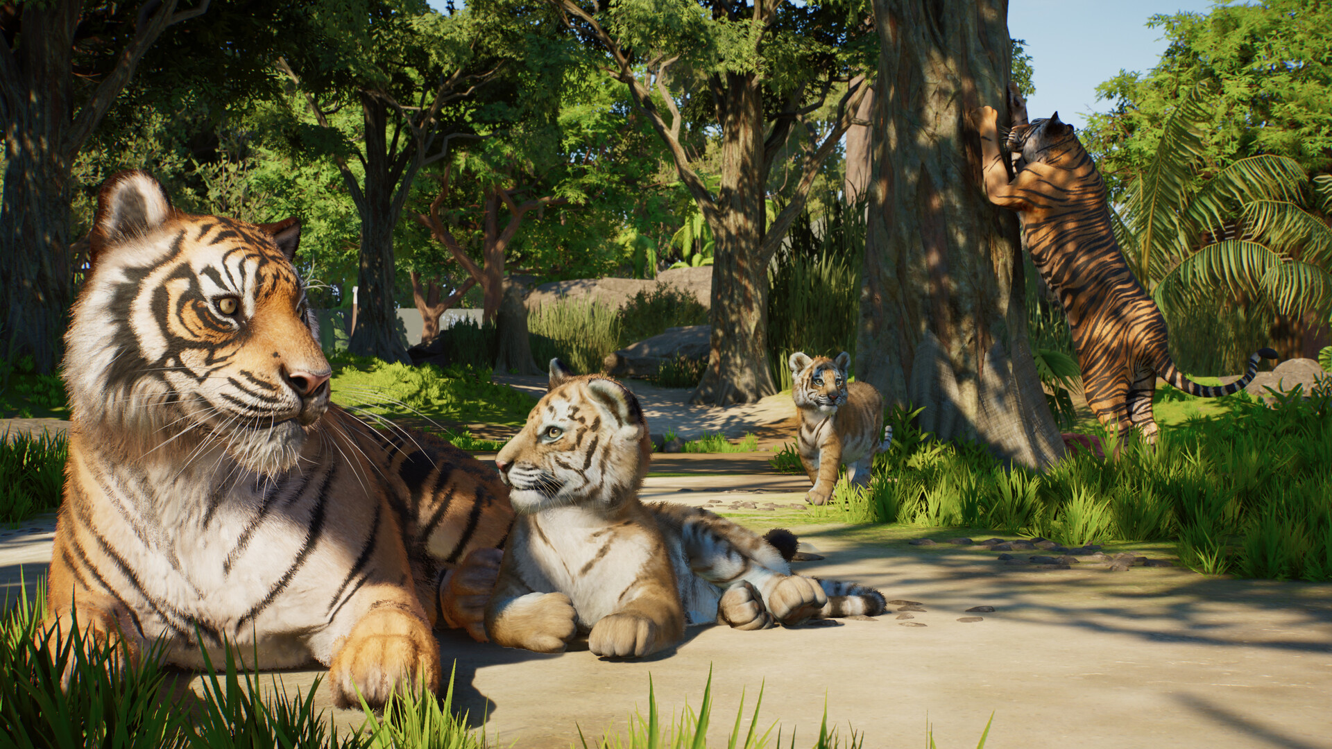 Planet Zoo 2 - кадр 1