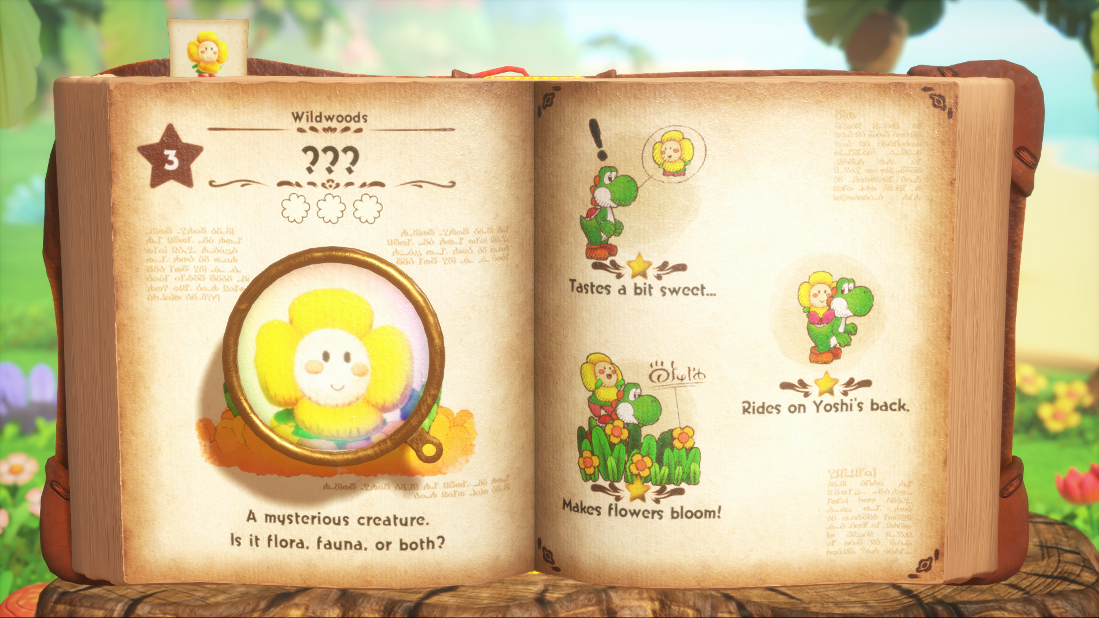 Yoshi and the Mysterious Book - кадр 2