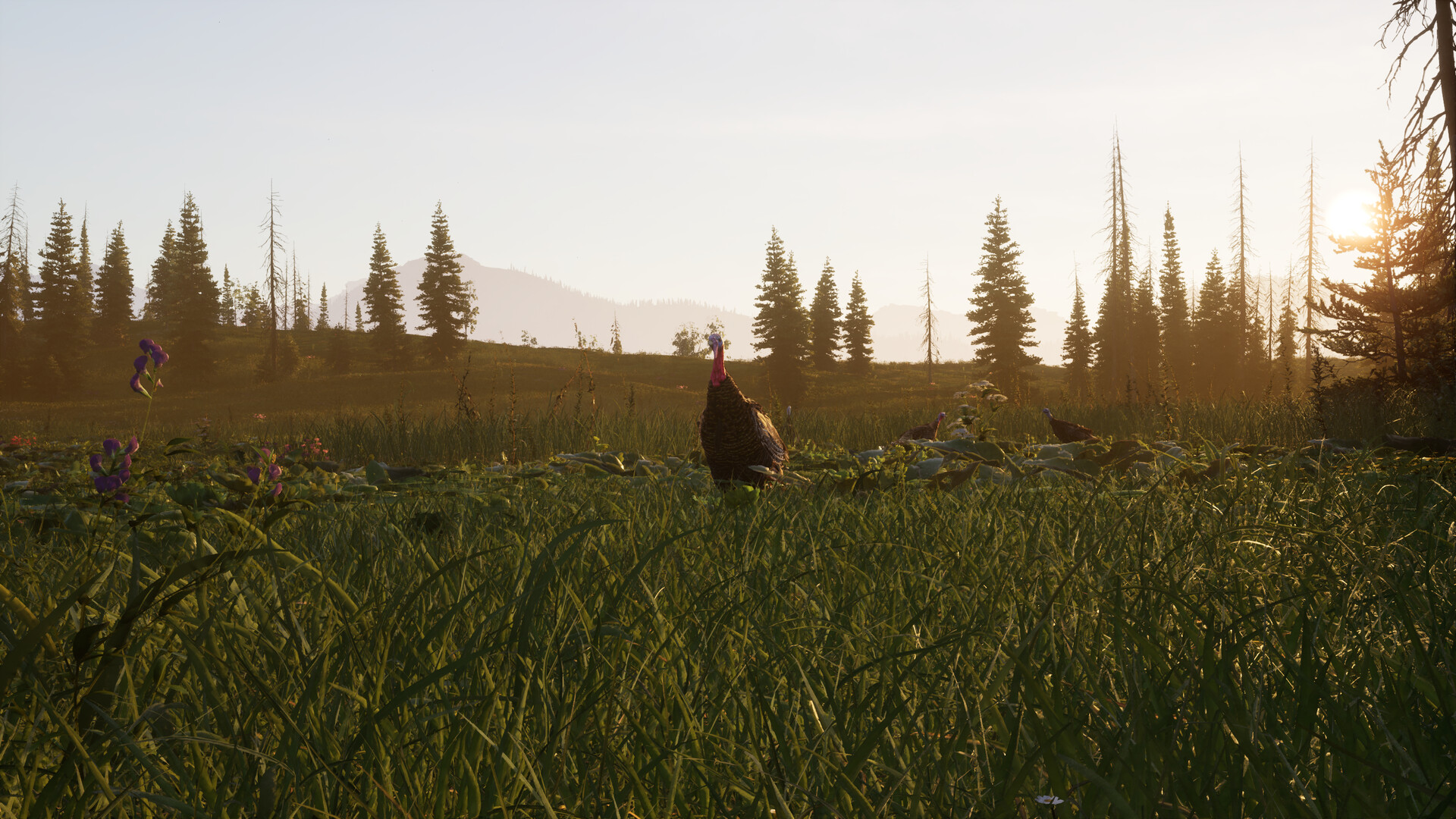 Way of the Hunter 2 - кадр 9