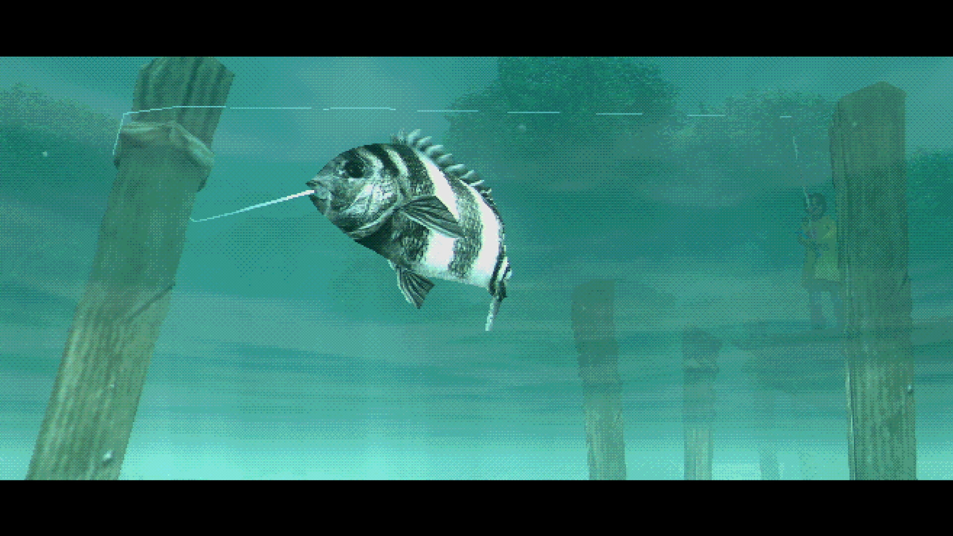 About Fishing - кадр 3