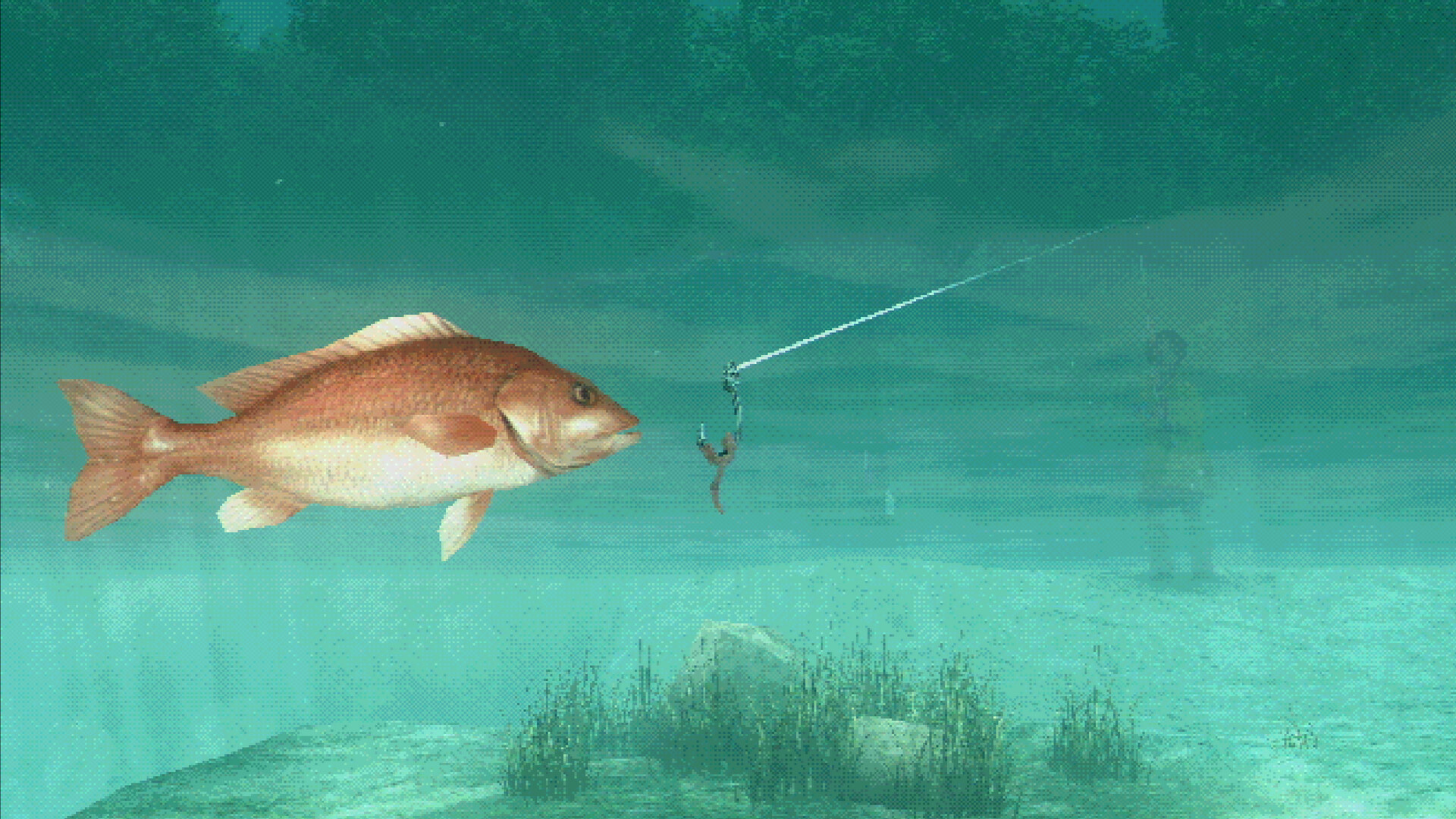 About Fishing - кадр 11
